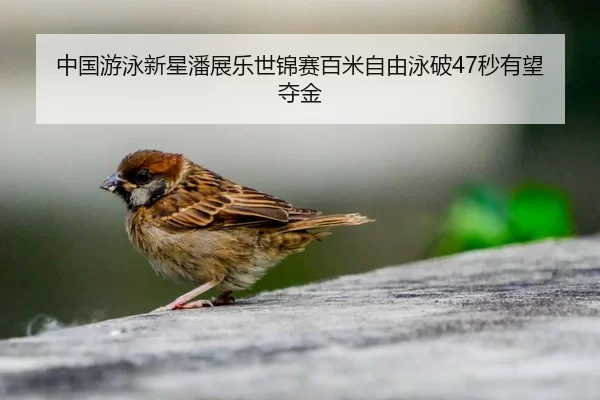 zhong-guo-you-yong-xin-xing-pan-zhan-le-shi-jin-sai-bai-mi-zi-you-yong-po-miao-you-wang-duo-jin-1-142.jpg